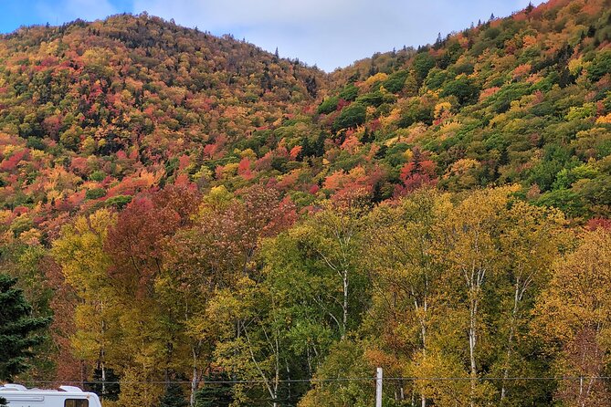 Cabot Trail Private Full Day Tour - Scenic Highlights