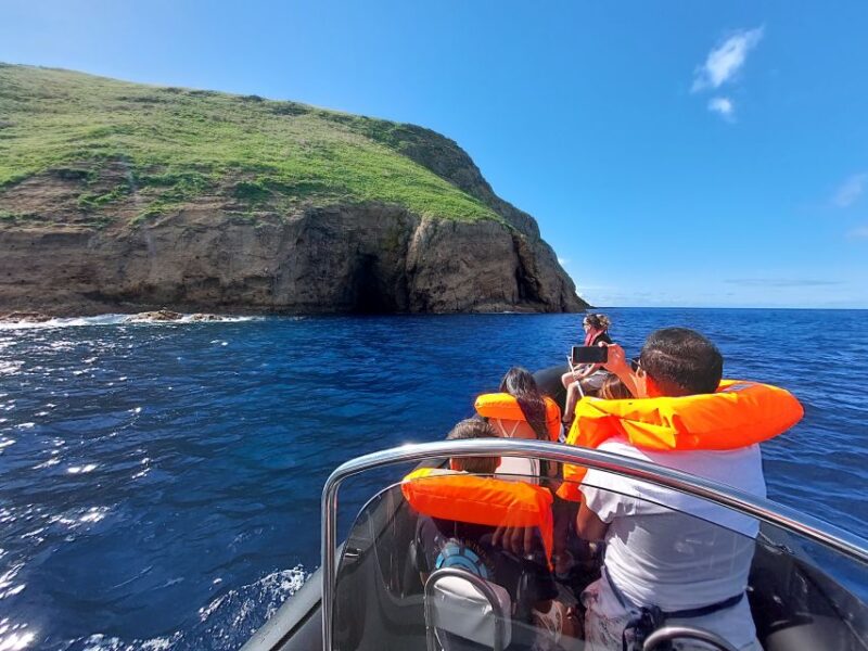 Cabras Island - Boat Trip - Inclusions
