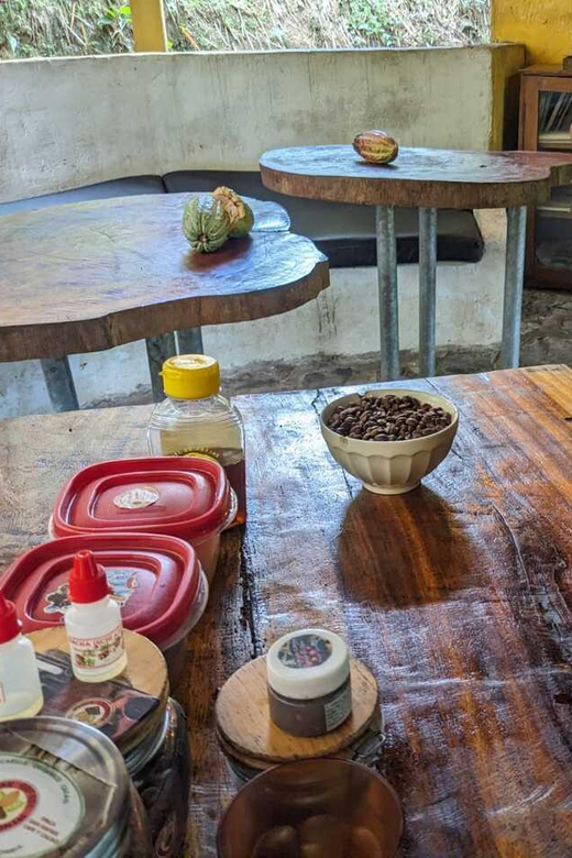 Cacao and Coffee Tour - Key Points