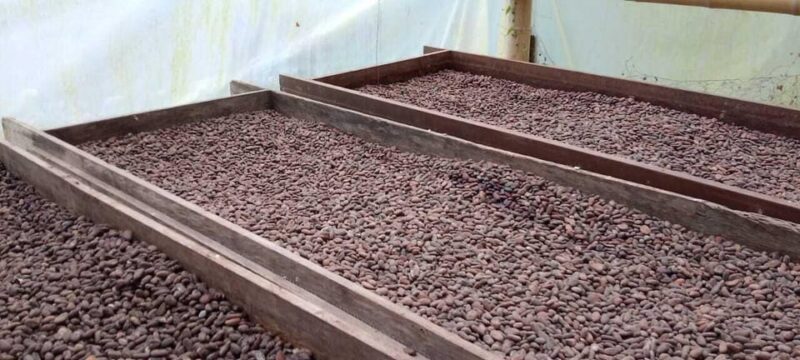 Cacao and Coffee Tour - Booking Information