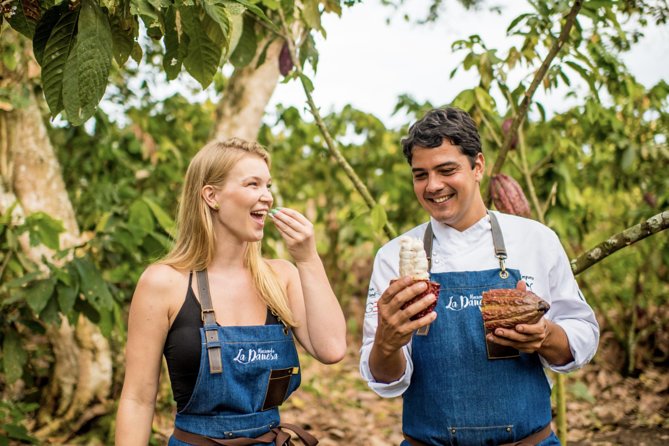 Cacao Farm and Hands-On Chocolate Making With 3-Course Meal in Guayaquil - Key Points