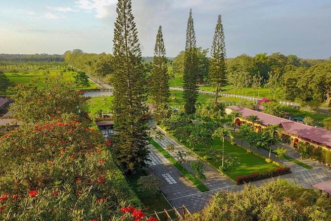 Cacao Farm and Hands-On Chocolate Making With 3-Course Meal in Guayaquil - Indulge in a 3-Course Feast