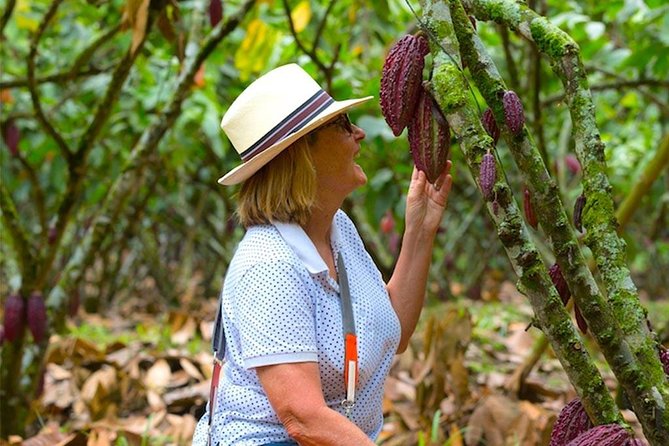 Cacao Farm and Hands-On Chocolate Making With 3-Course Meal in Guayaquil - Highlights of the Culinary Experience