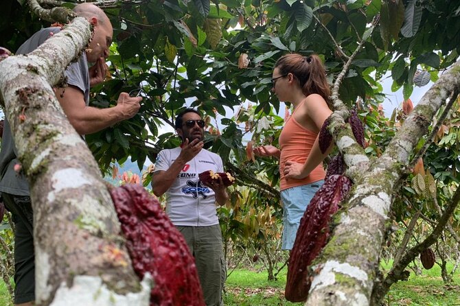 Cacao Farm & Chocolate Tasting With a Visit to Jubones Desert - Customer Reviews and Highlights