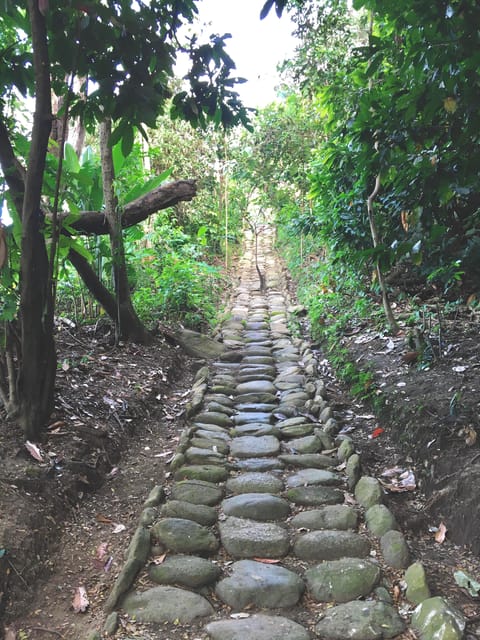 CACAO FOREST TOUR - Guided Tour Details