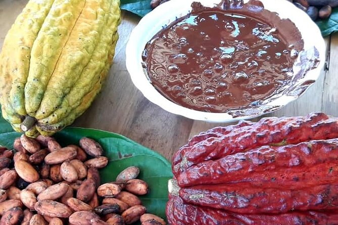 Cacao Tour - Inclusions and Amenities