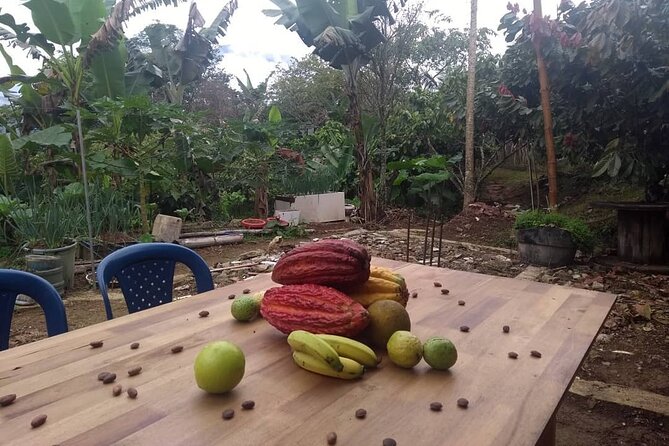 Cacao Tour - Meeting and Pickup