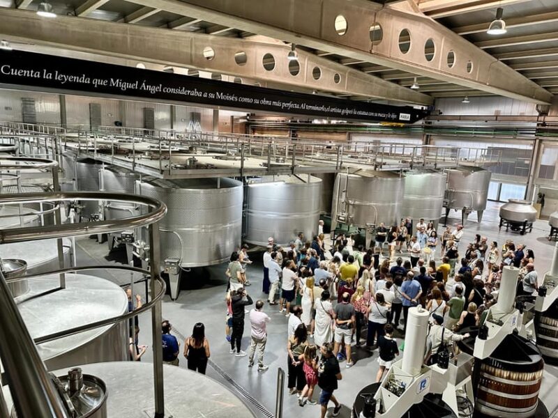 Cáceres: Habla Wineries - The Habla Wine Production Process