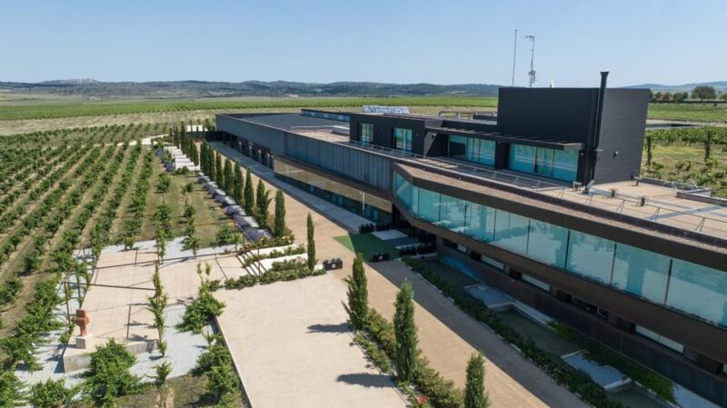 Cáceres: Habla Wineries - Tour Options at the Habla Winery