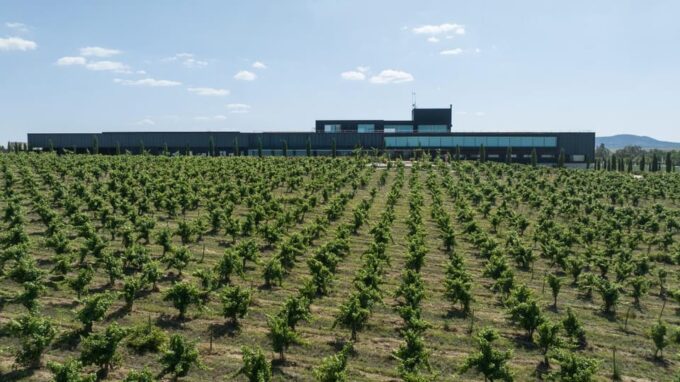 Cáceres: Habla Wineries - Practical Information for Visiting Habla