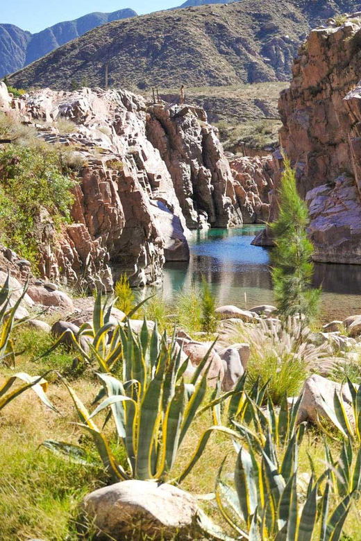 Cacheuta Hot Springs + Wine Tasting + Real "Argentinian Asado" - Inclusions and Amenities