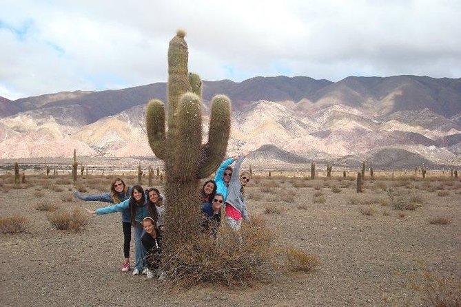 Cachi and Its Spectacular Los Cardones National Park - Hiking Through the Cardón Forests