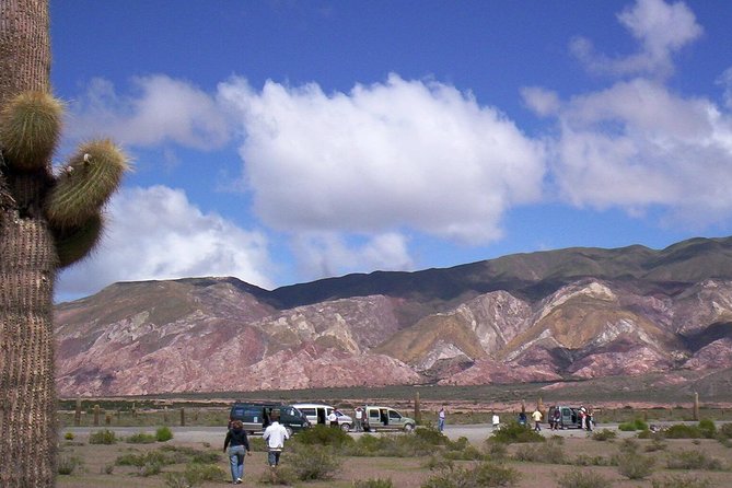 Cachi and Its Spectacular Los Cardones National Park - Discovering the Regions Rich Culture
