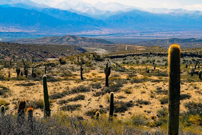 Cachi Full Day Tour From Salta - Quebrada De Los Laureles