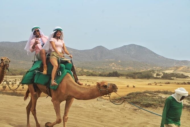 Cactus Combo Combine Two of Your Favorite Desert Tours - Optional Collision Insurance Available