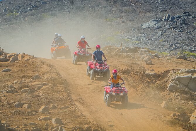 Cactus Combo Combine Two of Your Favorite Desert Tours - Positive Guest Experiences and Ratings