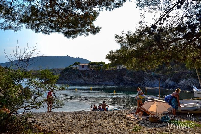 Cadaqués & Wine Tasting Day Trip - Schedule