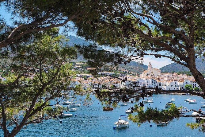 Cadaqués & Wine Tasting Day Trip - Traveler Tips