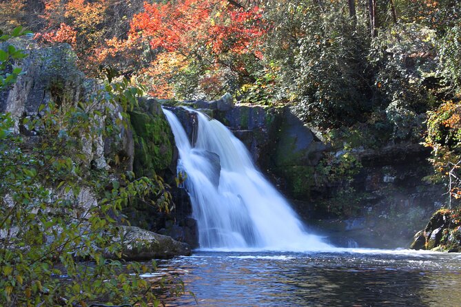 Cades Cove Sightseeing Self-Guided Driving Audio Tour - Included Features