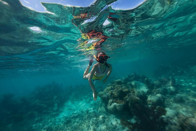 Cades Reef Sail & Snorkel Antigua From St.Johns - Ratings and Reviews