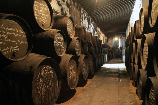 Cadiz and Jerez Day Trip From Seville - Uncovering 3,000-Year-Old History