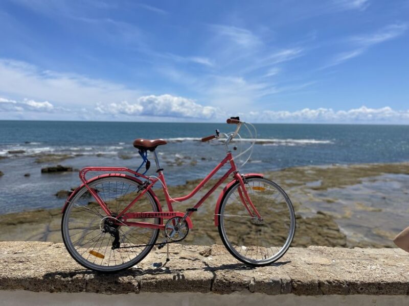 Cadiz: City Bike Tour - Booking Information