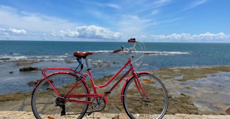 Cadiz: City Bike Tour - Customer Reviews