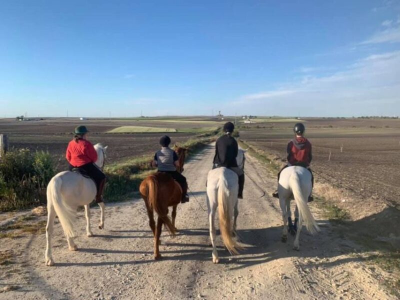 Cádiz Countryside: Ride an Andalusian Horse - Key Points
