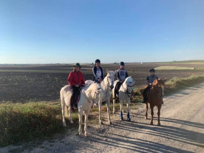 Cádiz Countryside: Ride an Andalusian Horse - Meeting Point and Directions