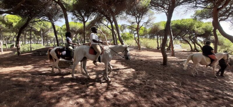 Cádiz Countryside: Ride an Andalusian Horse - Inclusions and Highlights