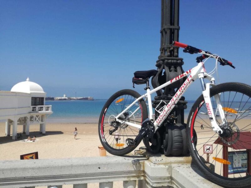 Cádiz: Guided Bike Tour - Experience Highlights