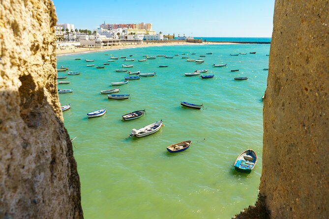 Cadiz in 1 Day - Walking Tour - Audioguide in 7 Languages - Pricing and Inclusions