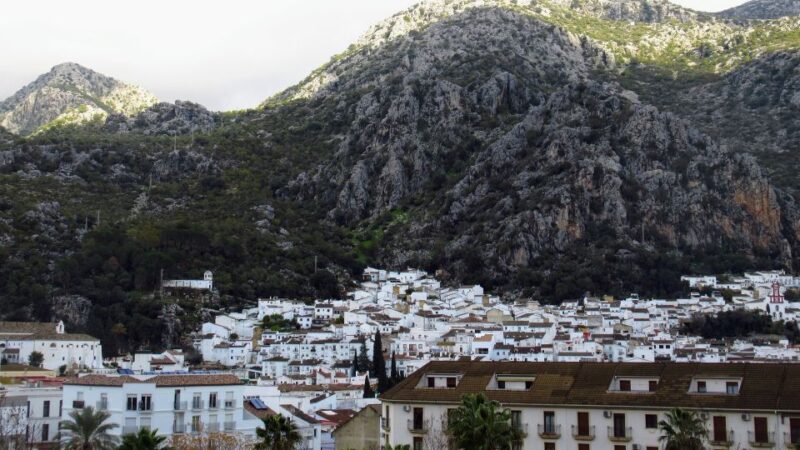 Cadiz, Jerez or El Puerto: White Towns of Andalusia Day Trip - Highlights of the Trip