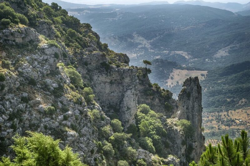 Cadiz, Jerez or El Puerto: White Towns of Andalusia Day Trip - Admiring Grazalema Natural Park