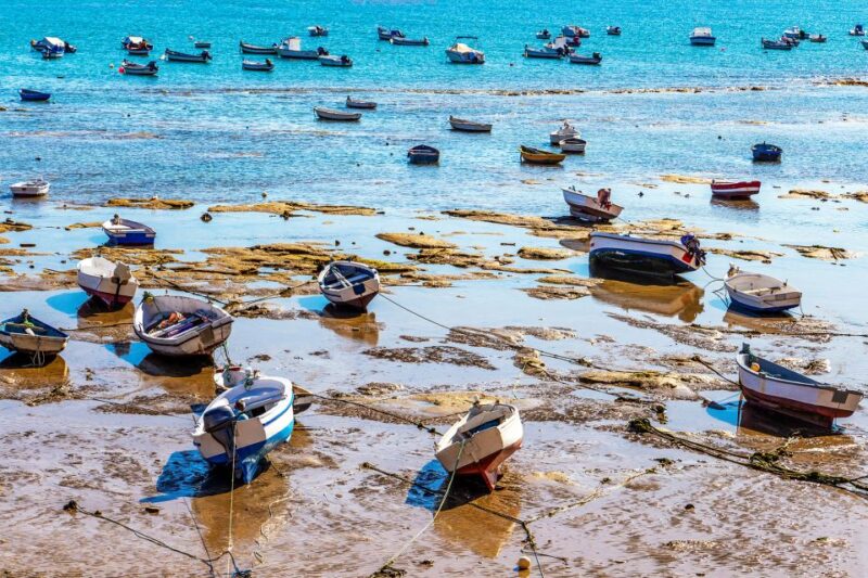 Cadiz: Pirate Route Guided Tour - Tour Price