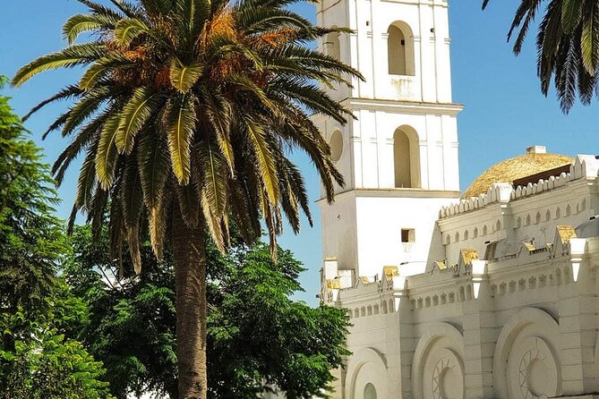 Cadiz Private Shore Excursion: The White Washed Villages & Trafalgar Cape - Lunch and Dining Options