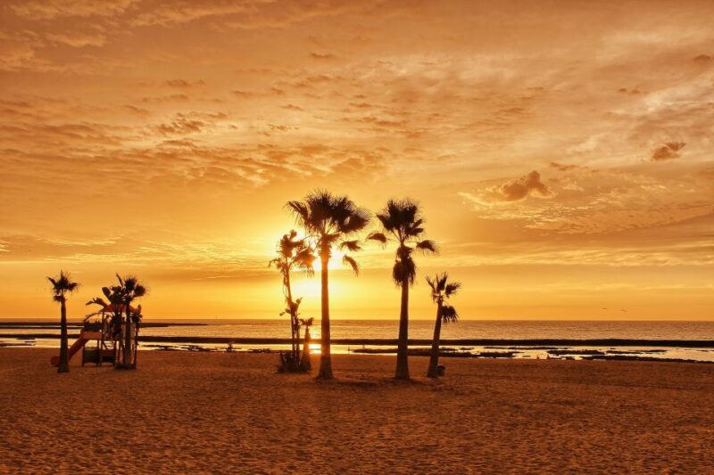 Cadiz: Private Tour With a Local - Highlights
