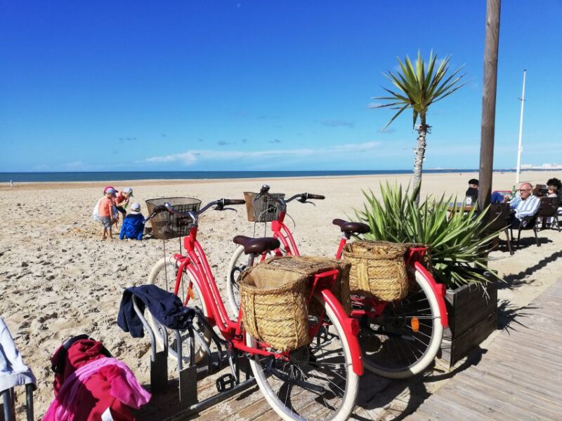 Cadiz: Private Tour With Tapas, Wine Tasting and Bike Rental - Bike Rental Adventure