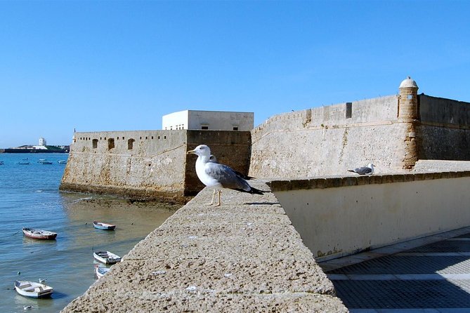 Cadiz Private Walking Tour - Iconic Cadiz Cathedral