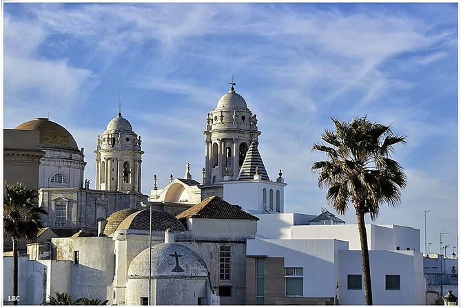 Cadiz Shore Excursion: Scenic & Walking Tour With Cheese and Sherry Tasting - Cultural Immersion