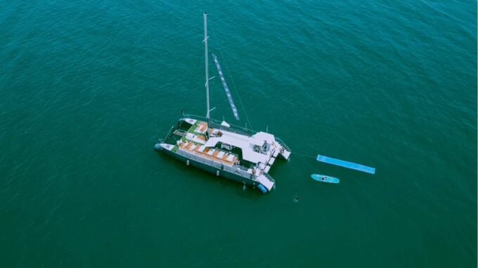 Cádiz: Sunset Catamaran Cruise With Drink - Customer Feedback