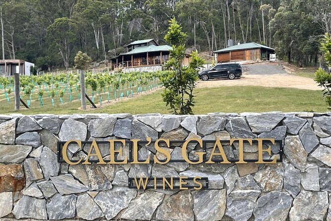 Caels Gate Wine Tasting in Hunter Valley - A Deep Dive into the Experience