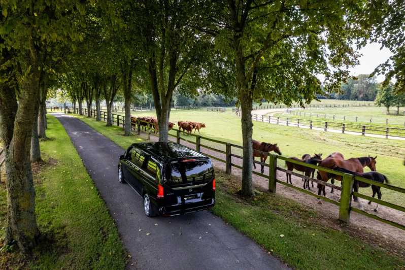 Caen: D-Day British and Canadian Sector Guided Tour - Personalized Experience