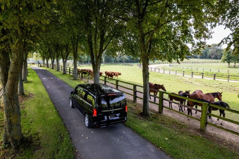 Caen: Guided Tour of Caen and Bayeux - Tour Highlights