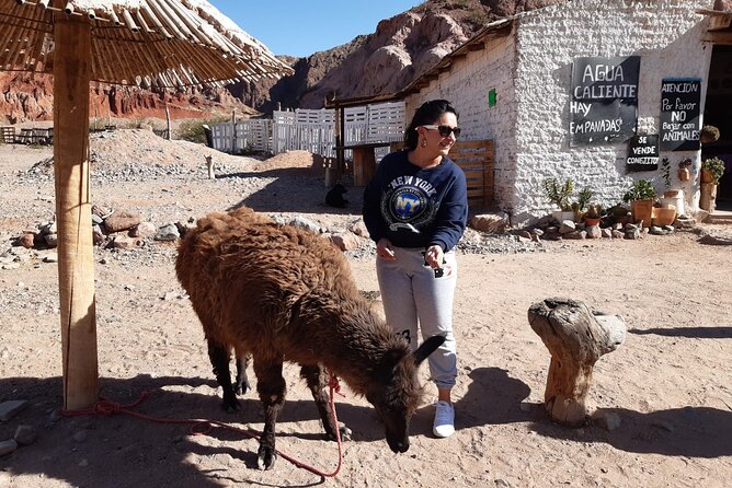 Cafayate, Vineyards and Calchaquies Valleys Tour From Salta - Key Stops and Highlights