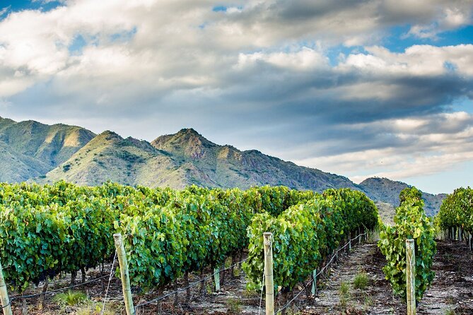 Cafayate Wine Trail Excursion: Explore Saltas Vineyards - Cancellation Policy