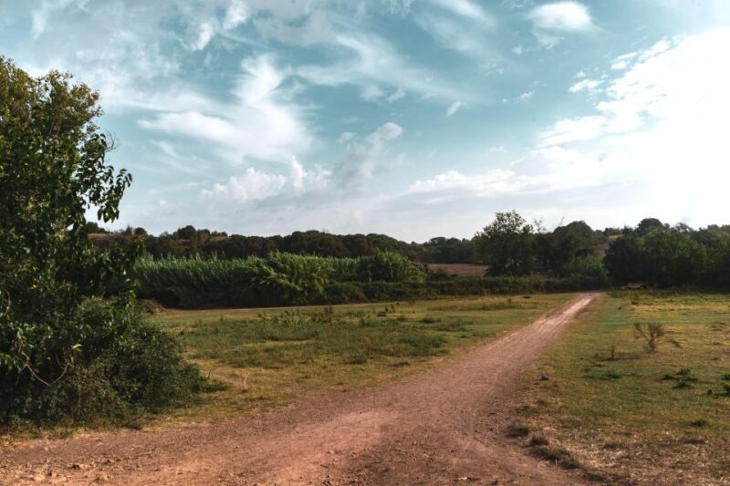 Caffarella Park: Romes Secret Urban Hiking Paradise - Discovering Caffarella Park: An Urban Gem