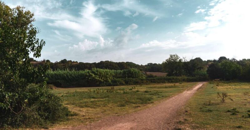 Caffarella Park: Romes Secret Urban Hiking Paradise - Guided Experience: Meet Your Expert Guide