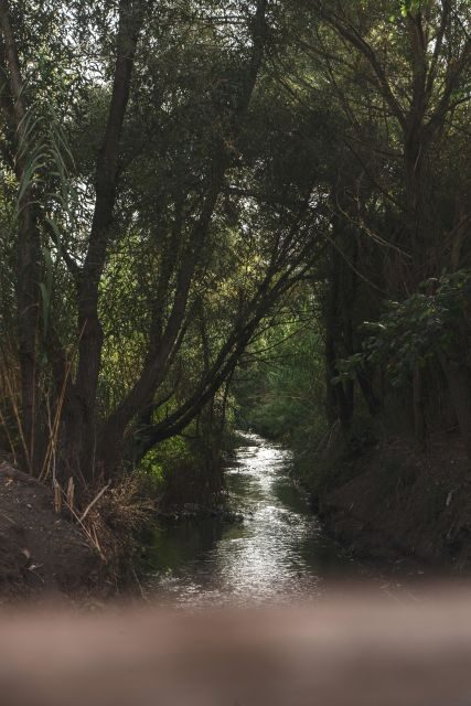 Caffarella Park: Romes Secret Urban Hiking Paradise - Since Your Asked