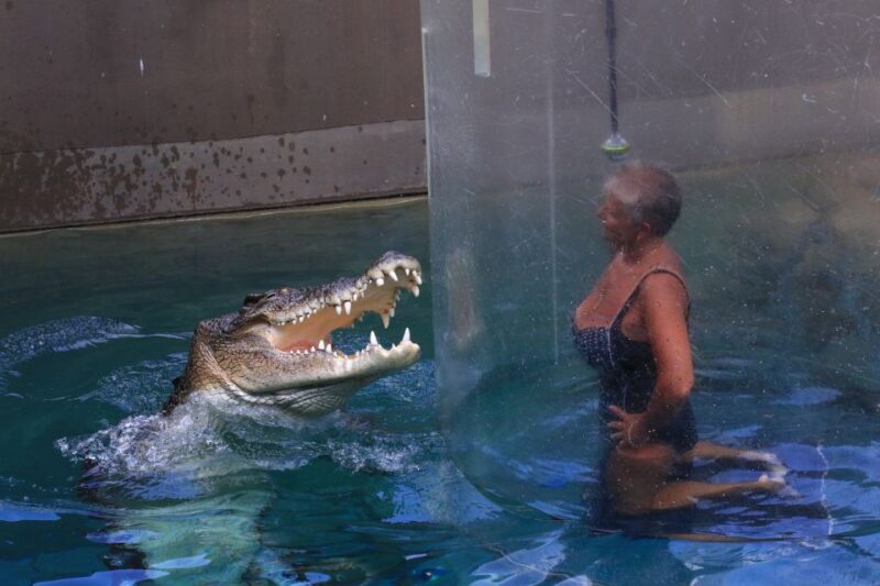 Cage Of Death Crocodile Swim and Entry to Crocosaurus Cove - Pricing and Availability